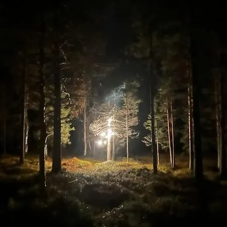 Chalet Ihanus 100 M2 Ja Rantasauna Jaerven Rannalla *